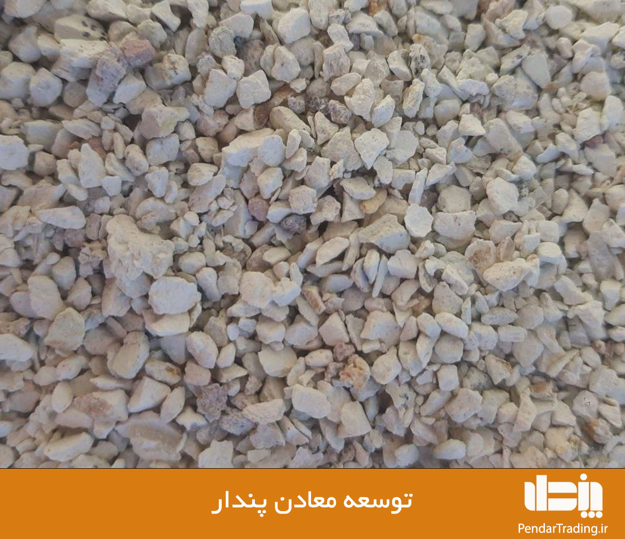 بنتونیت بستر مرغداری